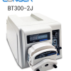 Longer Pump BT300-2J Peristaltik Pompa