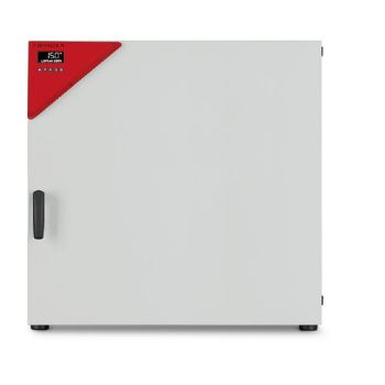 Binder FD 260 Kurutma Fırını (Etüv) (Avantgarde)