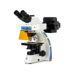 Euromex Oxion Floresan Mikroskop 