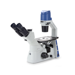 Euromex Oxion Inverso Inverted Mikroskop 