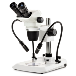 Euromex NZ.1902‑PG Nexius Zoom (EVO) Mikroskop Euromex NZ.1902‑PG Nexius Zoom (EVO) Mikroskop