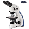 Euromex OX.3075 Trinokuler Oxion Fluorescence Mikroskop