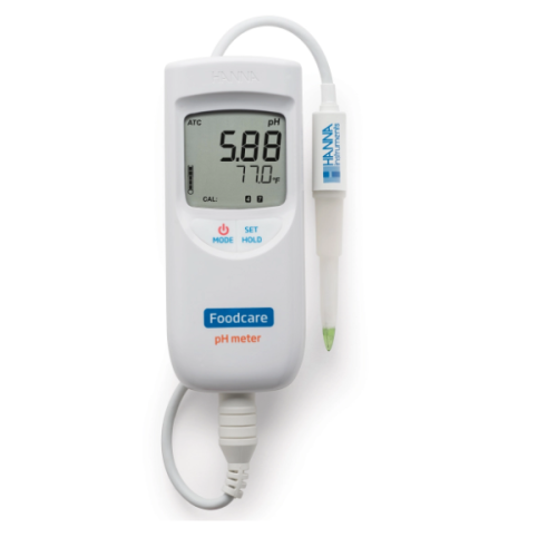 Hanna HI99161 Gıda pH Metresi  