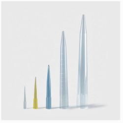 ISOLAB 005.01.001 Pipet Ucu - Şeffaf - 10 µL