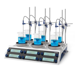 Wiggens WH620R-D Çok Konumlu Isıtıcılı Manyetik Karıştırıcı